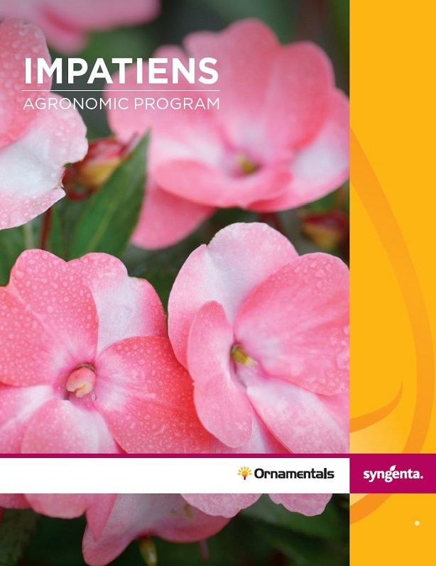 Impatiens Agronomic Program Poster