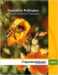 Operation Pollinator brochure