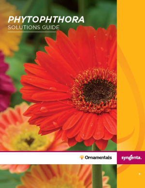 Phytophthora Solutions Guide Poster