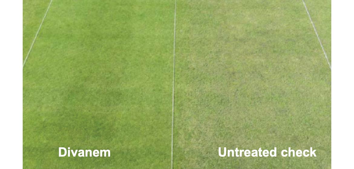 Faster enhancements to turf quality