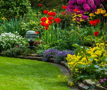 Ornamentals in Commercial & Residential Landscapes