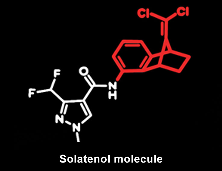 Solatenol molecule