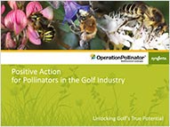Operation Pollinator PowerPoint presentation