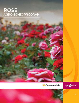 Rose Agronomic Program Poster